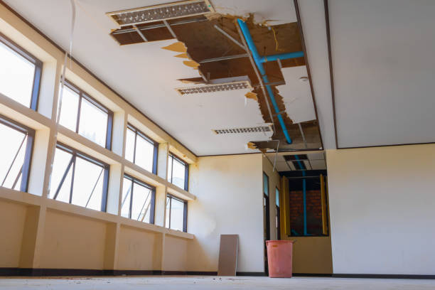 Best Basement water damage restoration  in Southwest Ranches, FL