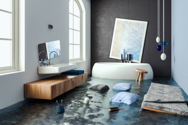 Water damage restoration mold remediation in FL