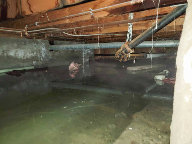 Best Fire Damage Restoration  in Southwest Ranches, FL
