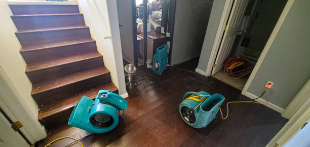 Best Water damage contractors near me  in Southwest Ranches, FL