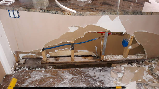 Best Professional water damage repair  in Southwest Ranches, FL