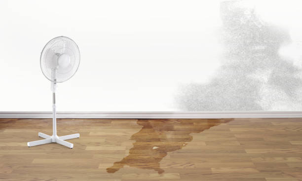 Best Water damage restoration process  in Southwest Ranches, FL