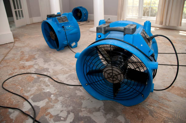 Best Emergency water damage restoration  in Southwest Ranches, FL