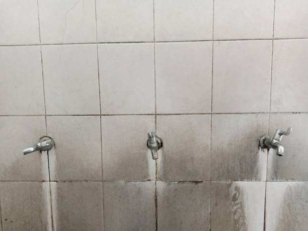 Best Local water damage restoration  in Southwest Ranches, FL