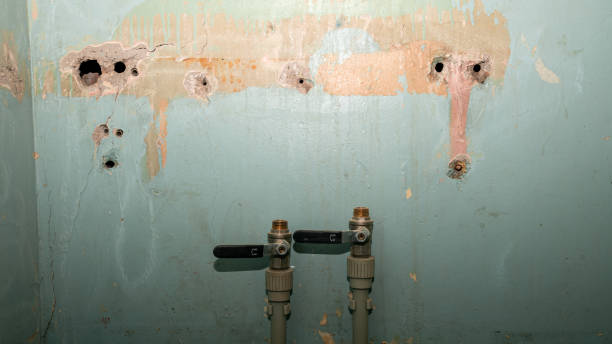 Best 24/7 water damage repair  in Southwest Ranches, FL