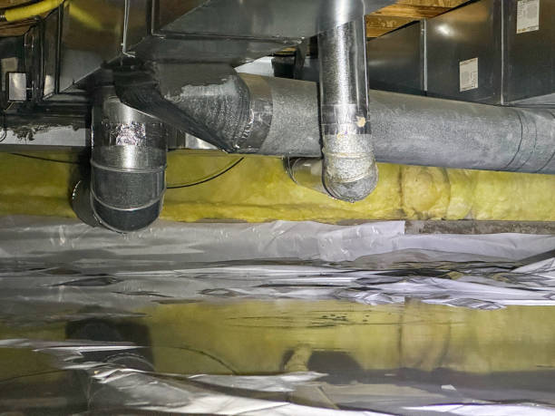Best Water damage restoration near me  in Southwest Ranches, FL