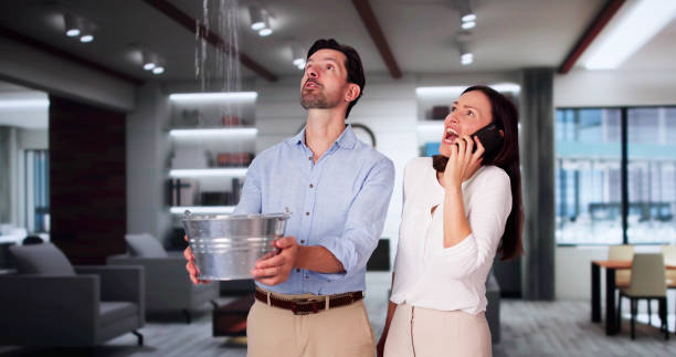 Best Flooded house restoration  in Southwest Ranches, FL