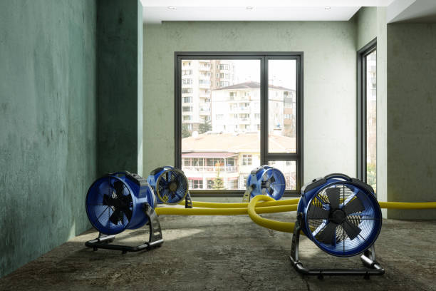Best Ceiling water damage repair  in Southwest Ranches, FL